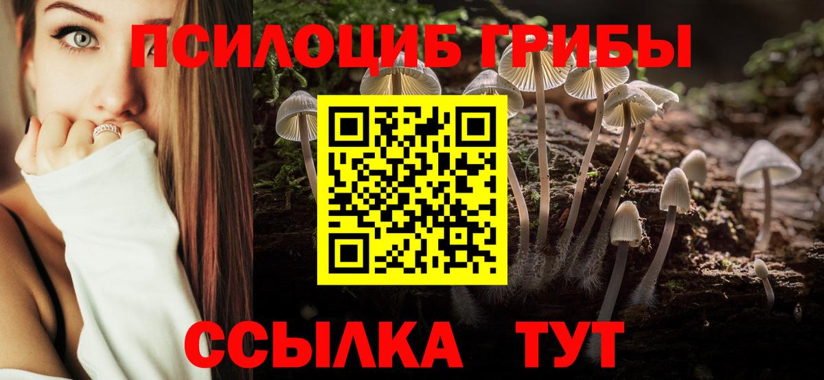 Туймазы  Псилоцибиновые грибы Magic Shrooms  Вход с VPN 